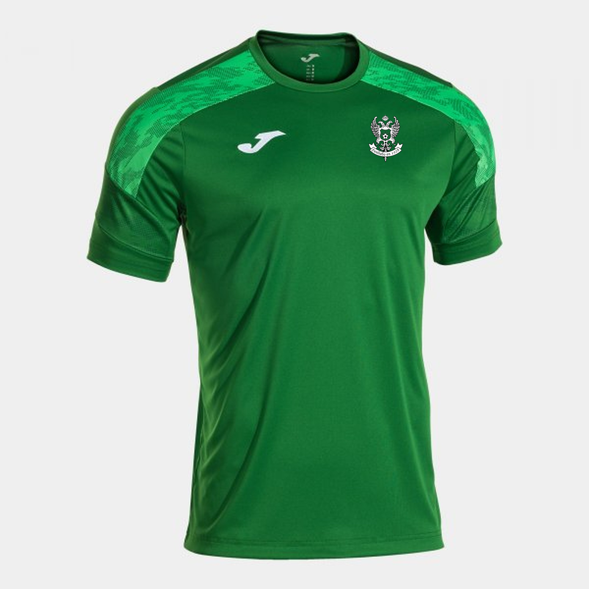 Camiseta manga corta hombre Championship VIII verde